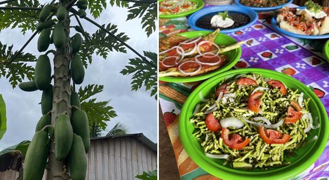 GUATE_HUERTOS Y COCINA 6.jpg